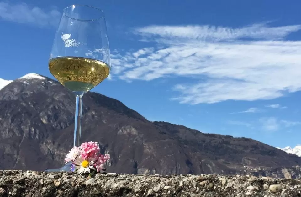 Cantine Aperte: Un Week-End tra Calici e Paesaggi